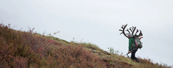 Alaskan Caribou Adventure