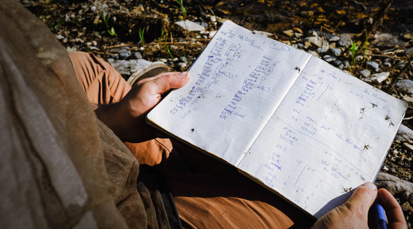 Field Notes from a Bird Trip