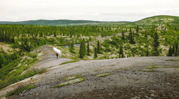 Lure of the Labrador Wild