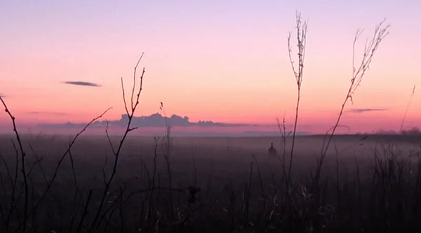 DIY Sportsman - My Wife Sam's First Turkey Hunt