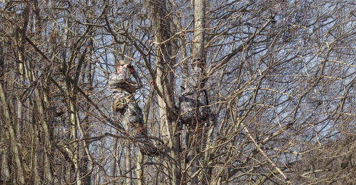 Year-round Glassing as a Whitetail Hunter