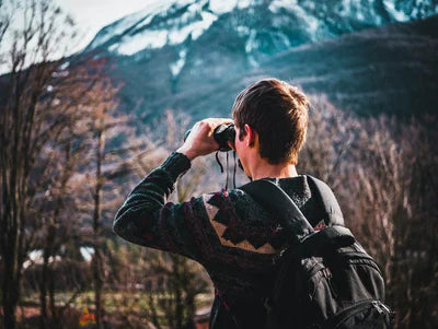 The Best Binoculars for Bird & Wildlife Photographers in 2020