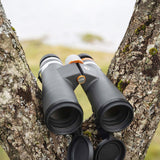 Binoculars - B.6 - 10x50